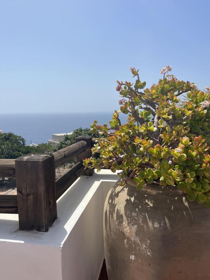Parque Mirador *